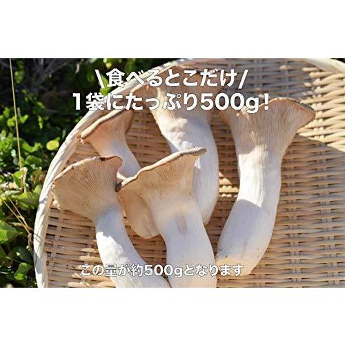 国産冷凍きのこ ４種類から選べる３パックセット エリンギ ２ しめじ １ 冷凍野菜 Kitchenworksla Com