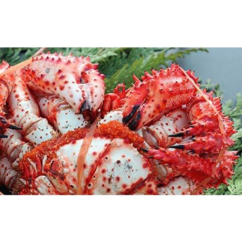 純正特販 根室前浜産 極上花咲ガニ メス子持ち1尾 600g前後 最低価格で販売 Www Tapspestservices Com