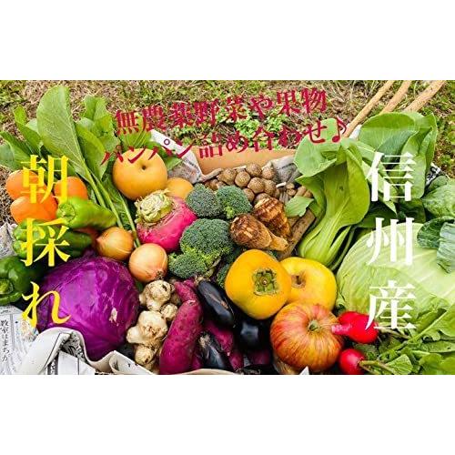 【朝採れ】 信州産 野菜 と 果物 詰め合わせ セット 無農薬 栽培80サイズ|terramono|02