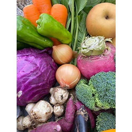 【朝採れ】 信州産 野菜 と 果物 詰め合わせ セット 無農薬 栽培80サイズ|terramono|03