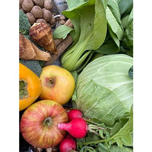 【朝採れ】 信州産 野菜 と 果物 詰め合わせ セット 無農薬 栽培80サイズ|terramono|04