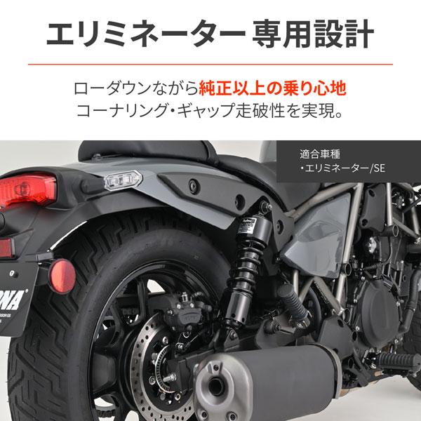 DAYTONA（デイトナ） DAYTONA ELIMINATOR/SE エリミネーター用