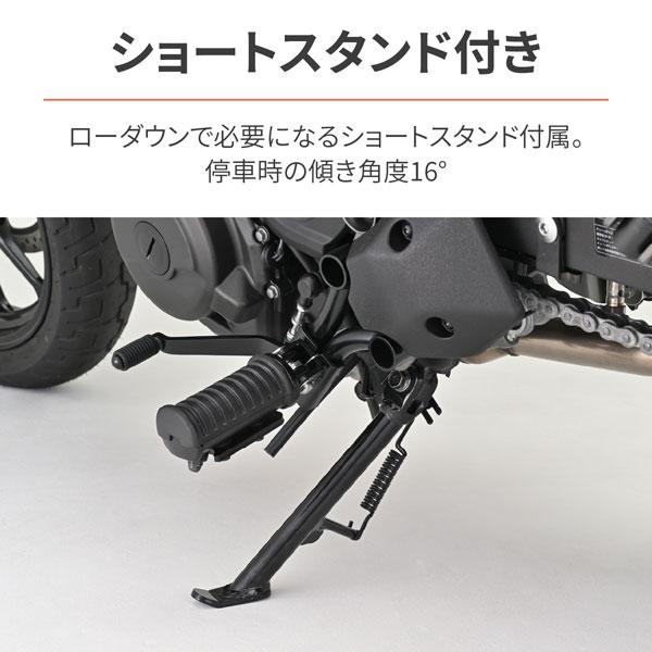 DAYTONA（デイトナ） DAYTONA ELIMINATOR/SE エリミネーター用