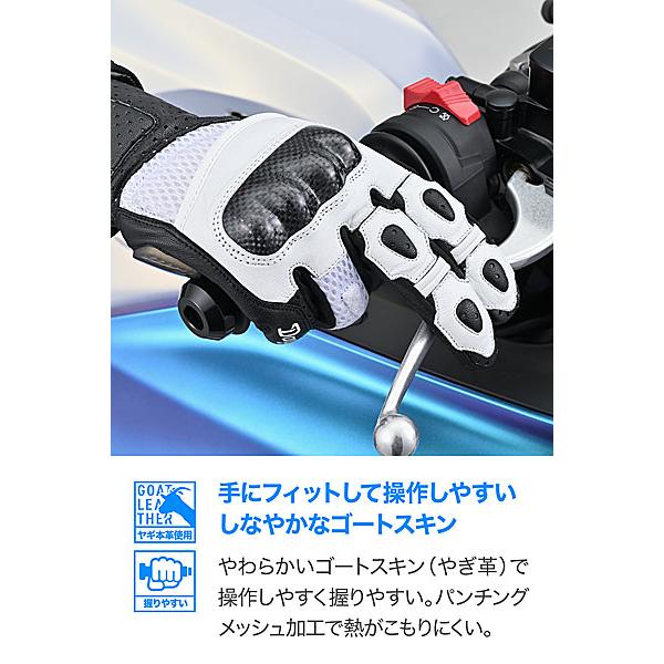 DAYTONA（デイトナ） DAYTONA HBG-053 スポーツメッシュグローブ