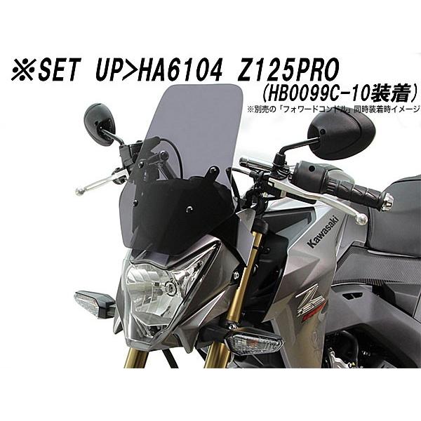 z125pro　ハリケーン　スモークスクリーン HURRICANE（ハリケーン） HURRICANE Z125PRO（16-）用 スクリーン