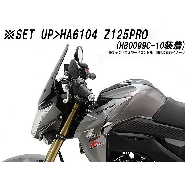HURRICANE（ハリケーン） HURRICANE Z125PRO（16-）用 スクリーン