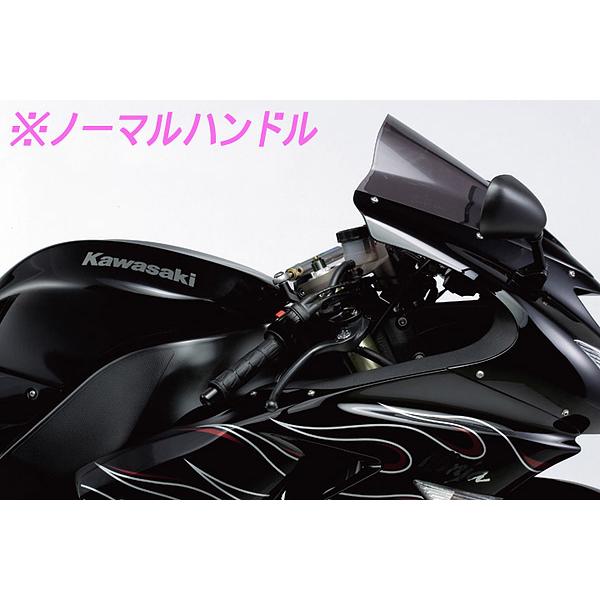 HURRICANE（ハリケーン） HURRICANE ZX-10R 06-07用 アルミ セパレート