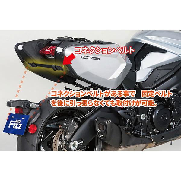 TANAX（タナックス） カービングシェルケース カーボン柄 MFK-272