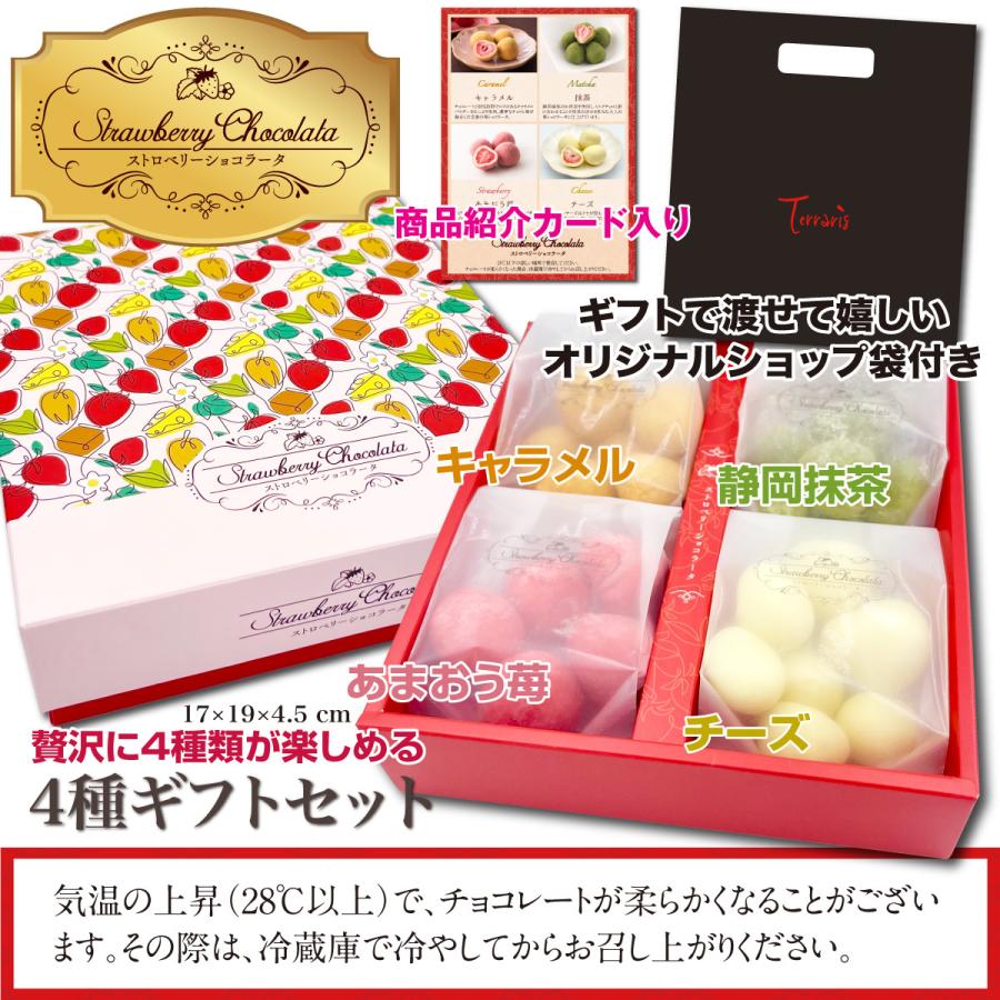 Terraris 苺チョコ お菓子 プレゼント ギフト 2026 低糖質 贅沢