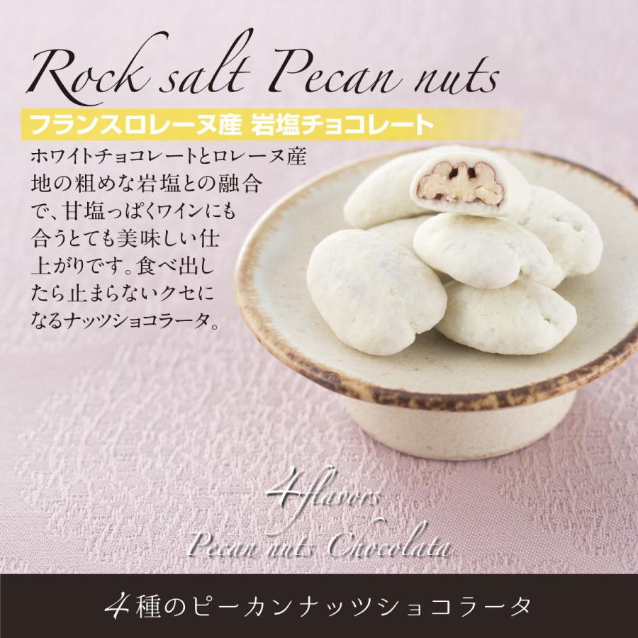 Terraris ナッツチョコレート 小分け ピーカンナッツ ナッツ チョコ