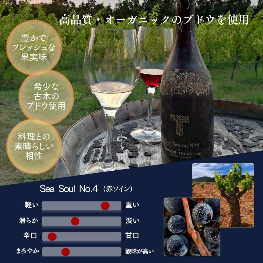 バスク海底熟成ワイン Crusoe Treasure クルーソー・トレジャー Sea 