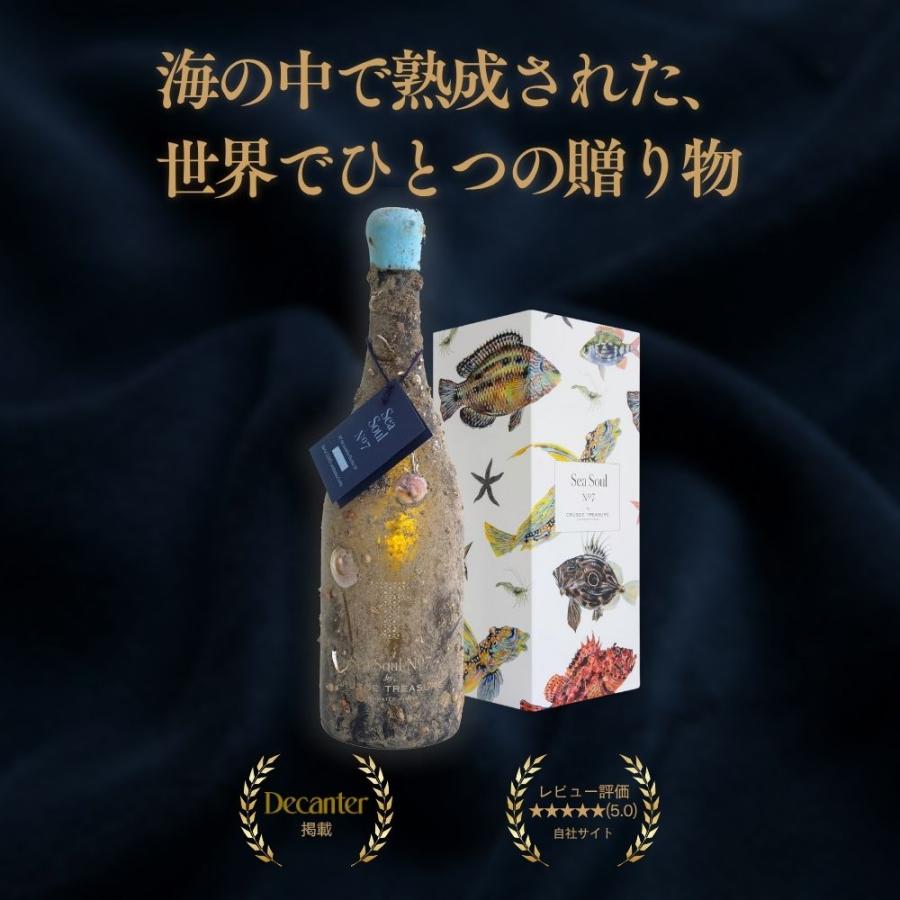 Sea Soul No.7 スペイン産ワイン Crusoe Treasure バスク海底熟成