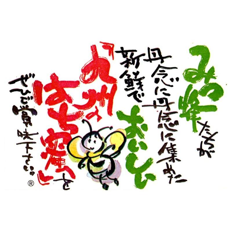 新作人気 国産はちみつセット もちのき蜜 百花蜜 各500g ハチミツ 蜂蜜 国産 純粋 効能 効果 免疫 健康志向 母の日 父の日 敬老 ギフト プレゼント 贈答 お祝い Aynaelda Com
