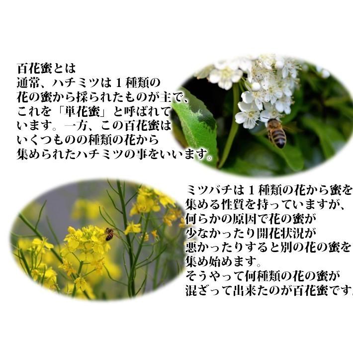 新作人気 国産はちみつセット もちのき蜜 百花蜜 各500g ハチミツ 蜂蜜 国産 純粋 効能 効果 免疫 健康志向 母の日 父の日 敬老 ギフト プレゼント 贈答 お祝い Aynaelda Com