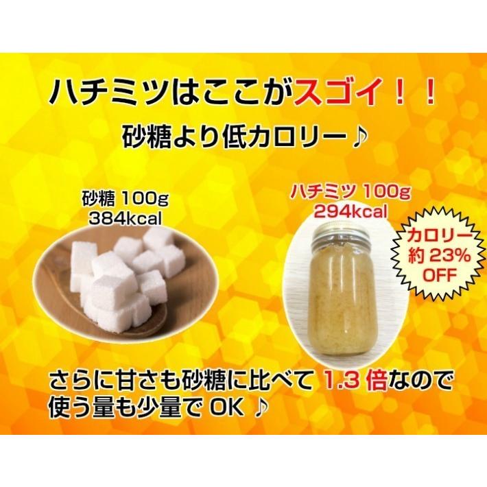 新作人気 国産はちみつセット もちのき蜜 百花蜜 各500g ハチミツ 蜂蜜 国産 純粋 効能 効果 免疫 健康志向 母の日 父の日 敬老 ギフト プレゼント 贈答 お祝い Aynaelda Com