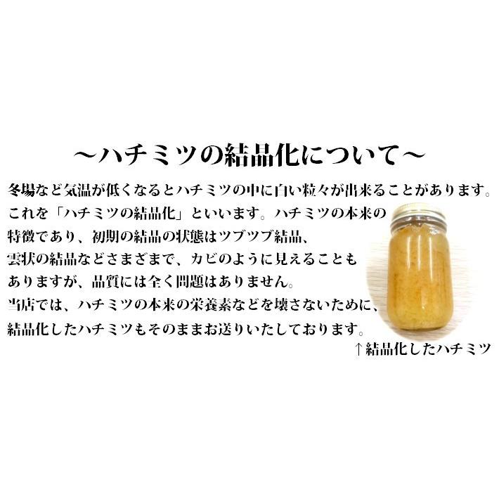 新作人気 国産はちみつセット もちのき蜜 百花蜜 各500g ハチミツ 蜂蜜 国産 純粋 効能 効果 免疫 健康志向 母の日 父の日 敬老 ギフト プレゼント 贈答 お祝い Aynaelda Com