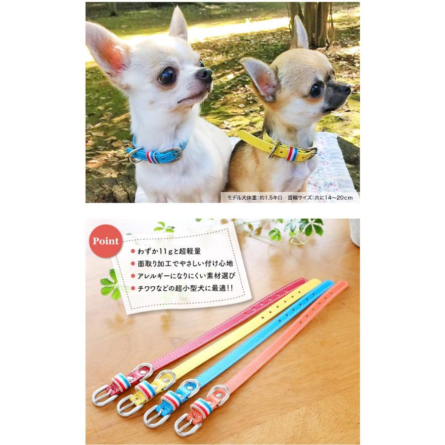 超小型犬首輪 犬 首輪 犬首輪 犬の首輪 チワワ首輪 子犬 幼犬 パピー 犬用首輪 いぬ おしゃれ かわいい 小型犬 小型犬用 超小型犬 革 日本製 安全 軽い F Ss F Ss 犬の首輪屋てるべる 通販 Yahoo ショッピング