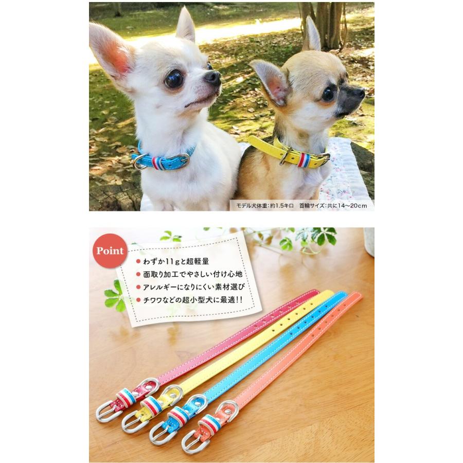 犬の首輪屋てるべる 超小型犬首輪 犬 首輪 犬首輪 犬の首輪 チワワ首輪