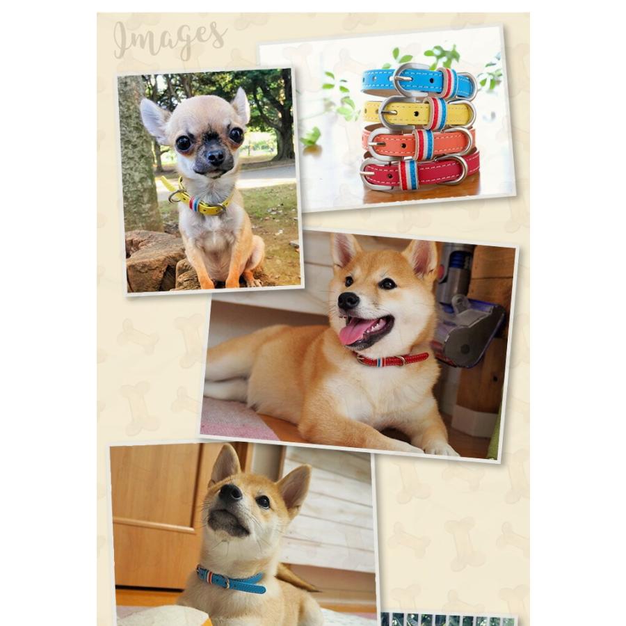 犬の首輪屋てるべる 超小型犬首輪 犬 首輪 犬首輪 犬の首輪 チワワ首輪