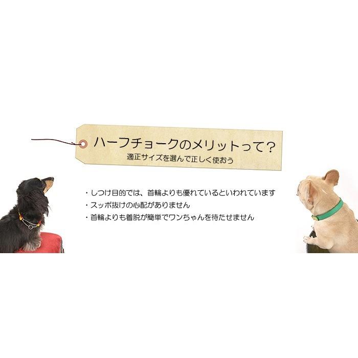 犬 首輪 犬首輪 犬の首輪 おしゃれ かわいい ブランド 迷子札 中型犬 小型犬 小型犬用 超小型犬 いぬ くびわ 革 レザー 皮 軽い 柴犬 チワワ halfc-2 | 犬の首輪屋てるべる | 03