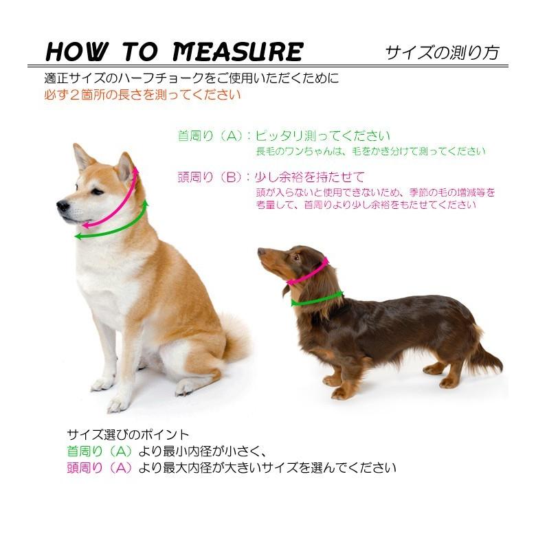 犬 首輪 犬首輪 犬の首輪 おしゃれ かわいい ブランド 迷子札 中型犬 小型犬 小型犬用 超小型犬 いぬ くびわ 革 レザー 皮 軽い 柴犬 チワワ halfc-2 | 犬の首輪屋てるべる | 04
