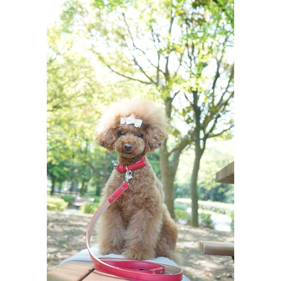 犬 リード 犬リード 犬のリード 犬用リード 送料無料 おしゃれ かわいい ナスカン 外れ防止 外れない 革 皮 レザー 小型犬 中型犬 Le Cha Le Cha 犬の首輪屋てるべる 通販 Yahoo ショッピング