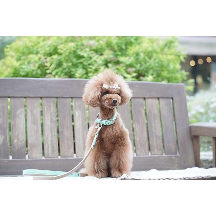 犬 リード 犬リード 犬のリード 犬用リード 送料無料 おしゃれ かわいい ナスカン 外れ防止 外れない 革 皮 レザー 小型犬 中型犬 Le Cha Le Cha 犬の首輪屋てるべる 通販 Yahoo ショッピング