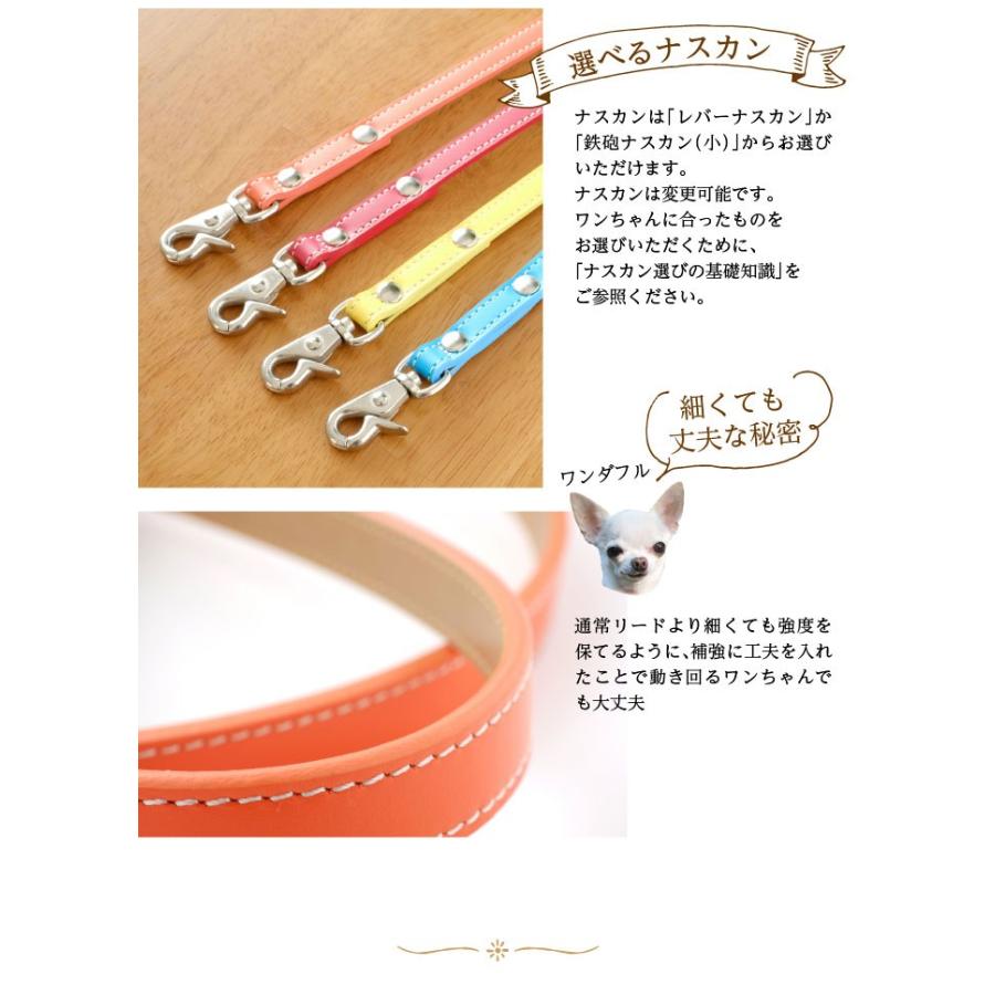 犬の首輪屋てるべる 犬 リード 犬リード 犬のリード 犬用リード 送料