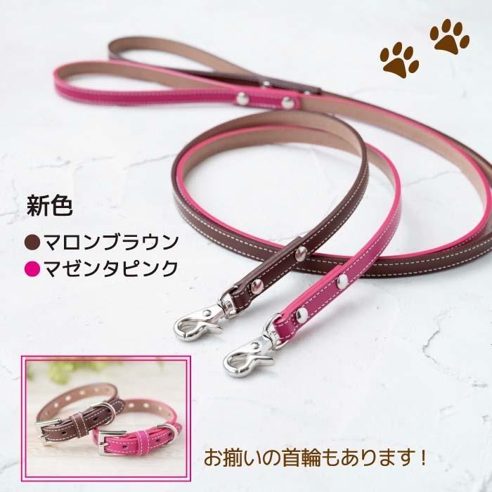 犬の首輪屋てるべる 犬 リード 犬リード 犬のリード 犬用リード 送料