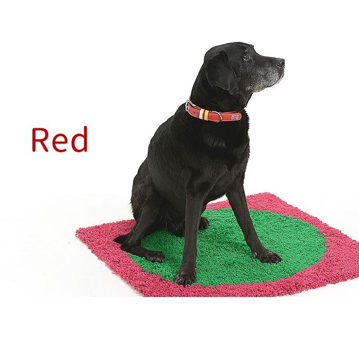 犬の首輪屋てるべる 大型犬首輪 大型犬用首輪 犬 首輪 犬首輪 犬の首輪