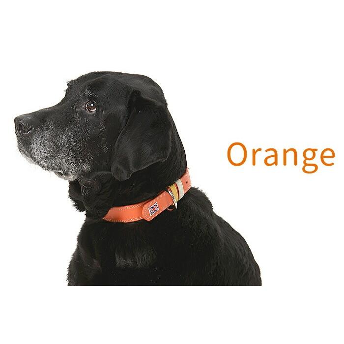犬の首輪屋てるべる 大型犬首輪 大型犬用首輪 犬 首輪 犬首輪 犬の首輪