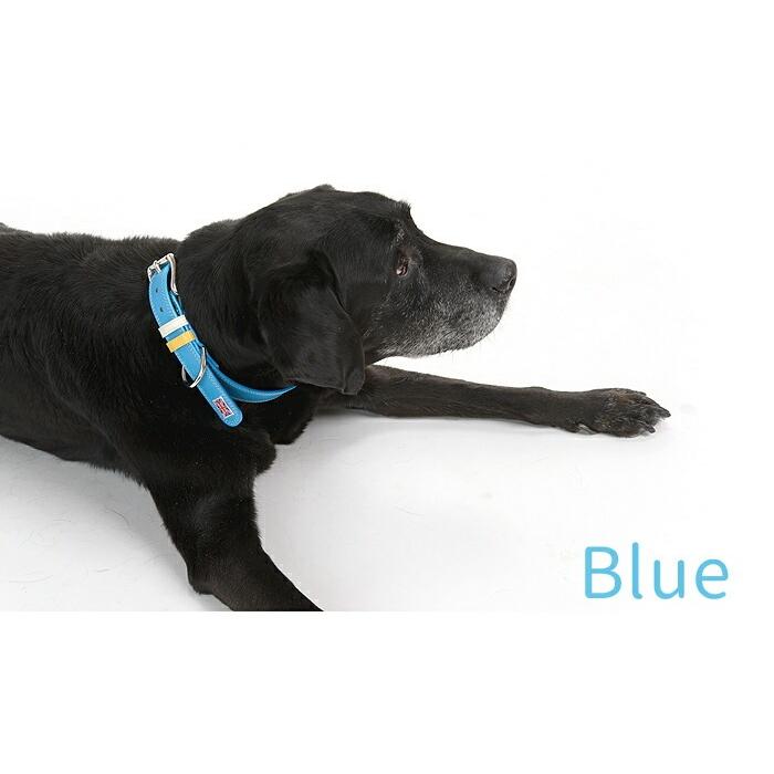 犬の首輪屋てるべる 大型犬首輪 大型犬用首輪 犬 首輪 犬首輪 犬の首輪