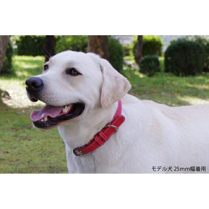 犬の首輪屋てるべる 大型犬首輪 大型犬用首輪 犬 首輪 犬首輪 犬の首輪