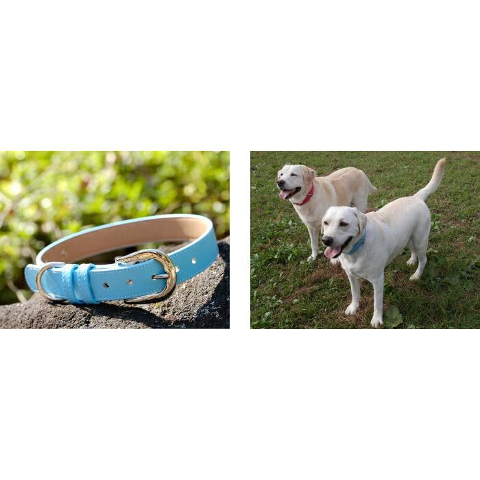 犬の首輪屋てるべる 大型犬首輪 大型犬用首輪 犬 首輪 犬首輪 犬の首輪