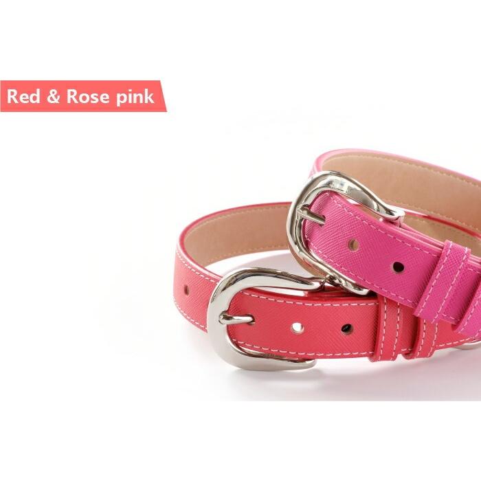 犬の首輪屋てるべる 大型犬首輪 大型犬用首輪 犬 首輪 犬首輪 犬の首輪