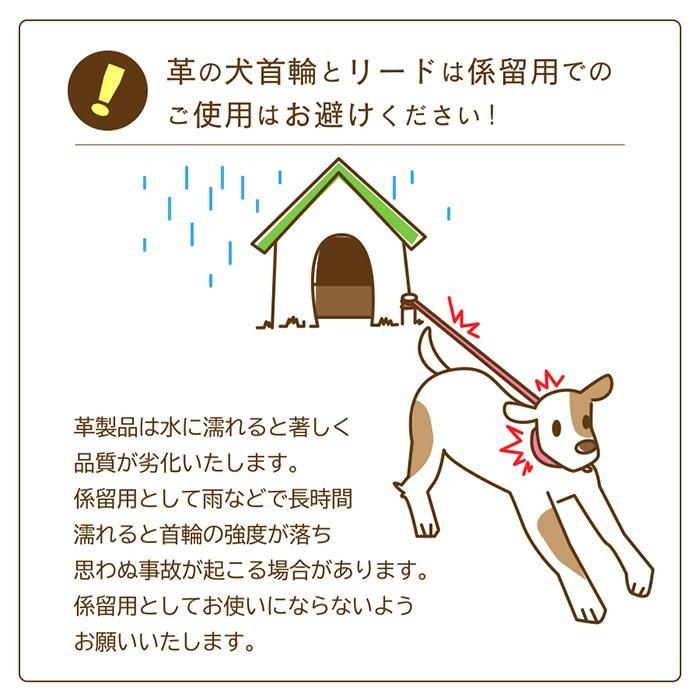 犬の首輪屋てるべる 大型犬首輪 大型犬用首輪 犬 首輪 犬首輪 犬の首輪