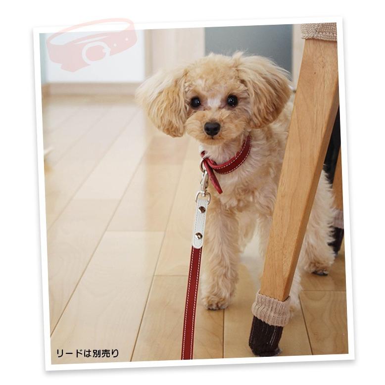 犬の首輪屋てるべる 犬 首輪 犬首輪 犬の首輪 おしゃれ かわいい