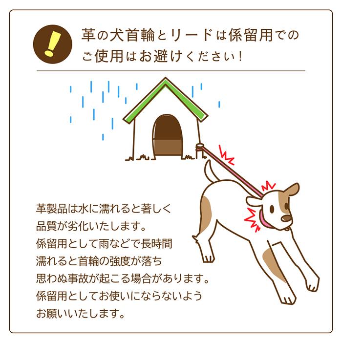 犬の首輪屋てるべる 犬 首輪 犬首輪 犬の首輪 おしゃれ かわいい