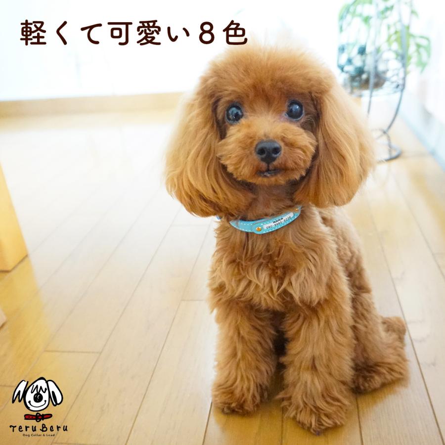 犬の首輪屋てるべる 名前入り 犬 猫 迷子札 チョーカー 名前入り 名