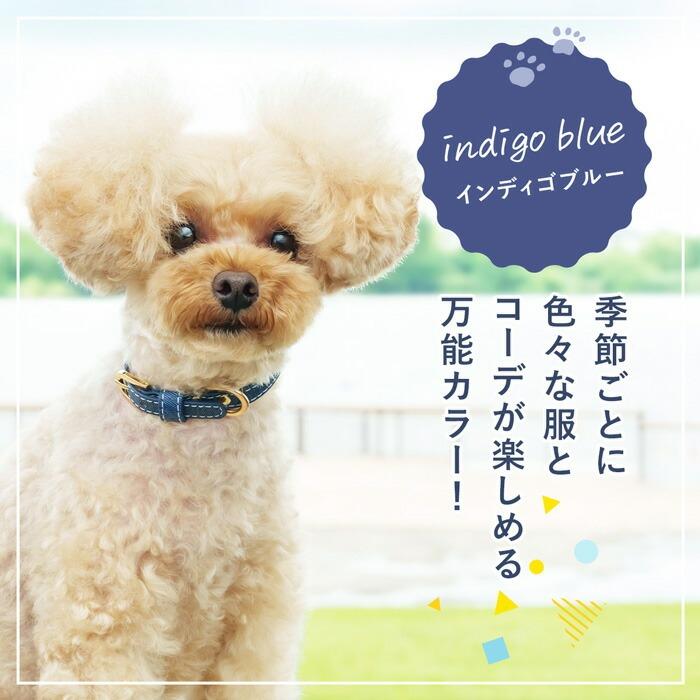 プースケ　真鍮タグ付き首輪チョーカー 濃い色デニム 犬の首輪屋てるべる 名前入り 犬 首輪 猫 迷子札 チョーカー 犬首輪 猫