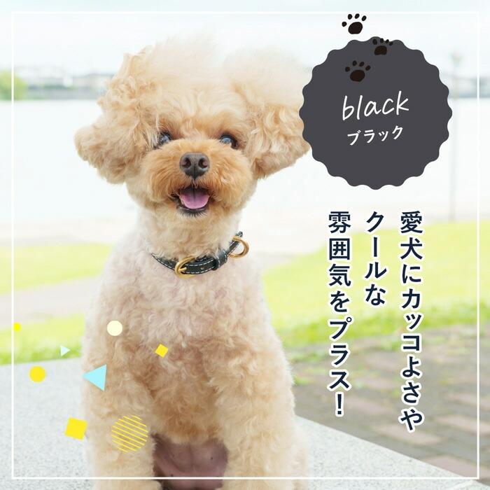 犬の首輪屋てるべる 名前入り 犬 首輪 猫 迷子札 チョーカー 犬首輪 猫