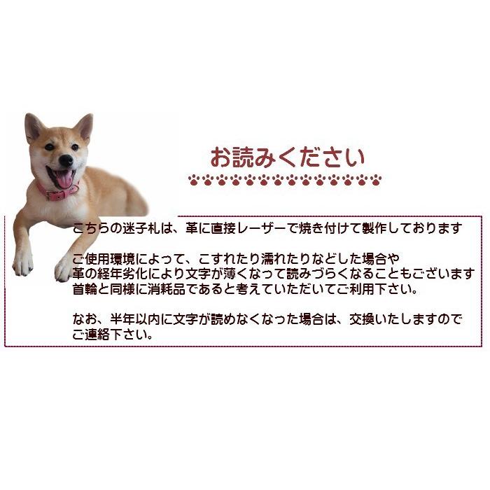 迷子札 超軽量 犬 いぬ 猫 ねこ ペット 首輪 犬用迷子札 名前入れ 名入れ ネーム入り ネームタグ ドッグタグ 名札 かわいい おしゃれ Maigo Wa Maigo Wa 犬の首輪屋てるべる 通販 Yahoo ショッピング