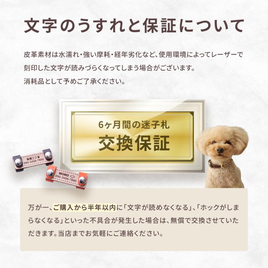 犬の首輪屋てるべる 犬 迷子札 名前入り ネームプレート 超軽量 猫
