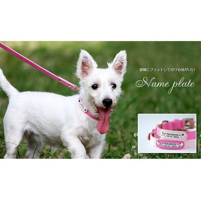 迷子札 超軽量 犬 いぬ 猫 ねこ ペット 首輪 犬用迷子札 名前入れ 名入れ ネーム入り ネームタグ ドッグタグ 名札 かわいい おしゃれ  maigo | 犬の首輪屋てるべる | 29