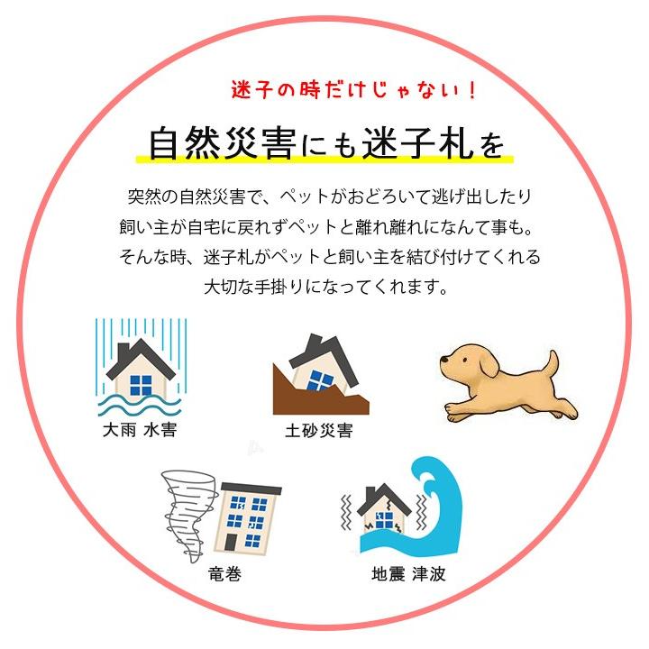 迷子札 オーダー 犬 首輪 名前入り ネームタグ 首輪 おしゃれ 中型犬