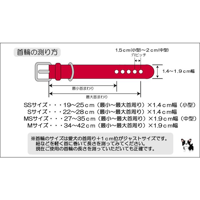 犬 首輪 犬首輪 犬の首輪 おしゃれ かわいい ブランド 迷子札 小型犬 小型犬用 超小型犬 いぬ くびわ 革 レザー 皮 軽い 柴犬 チワワ N-S｜teruberu｜17