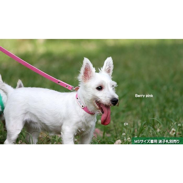 お値下げ‼️for pets only 首輪 パピ