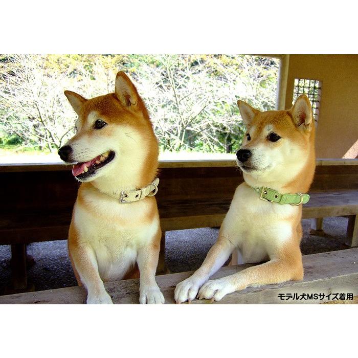 犬 首輪 犬首輪 犬の首輪 おしゃれ かわいい ブランド 迷子札 中型犬 小型犬 小型犬用 超小型犬 いぬ くびわ 革 レザー 皮 軽い 柴犬 チワワ Ot M2 Ot M2 犬の首輪屋てるべる 通販 Yahoo ショッピング
