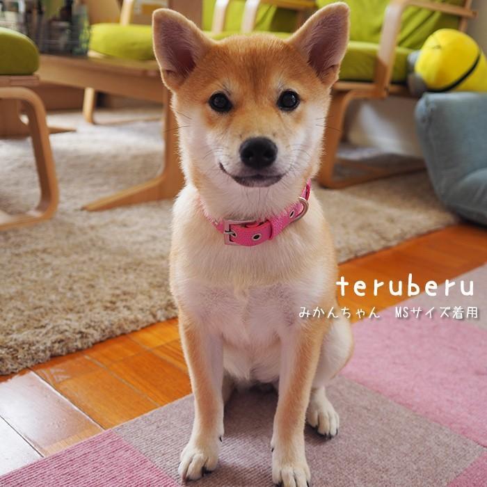 犬 首輪 おしゃれ 中型犬 小型犬 革 かわいい 犬首輪 犬の首輪 Ot M2 Ot M2 犬の首輪屋てるべる 通販 Yahoo ショッピング