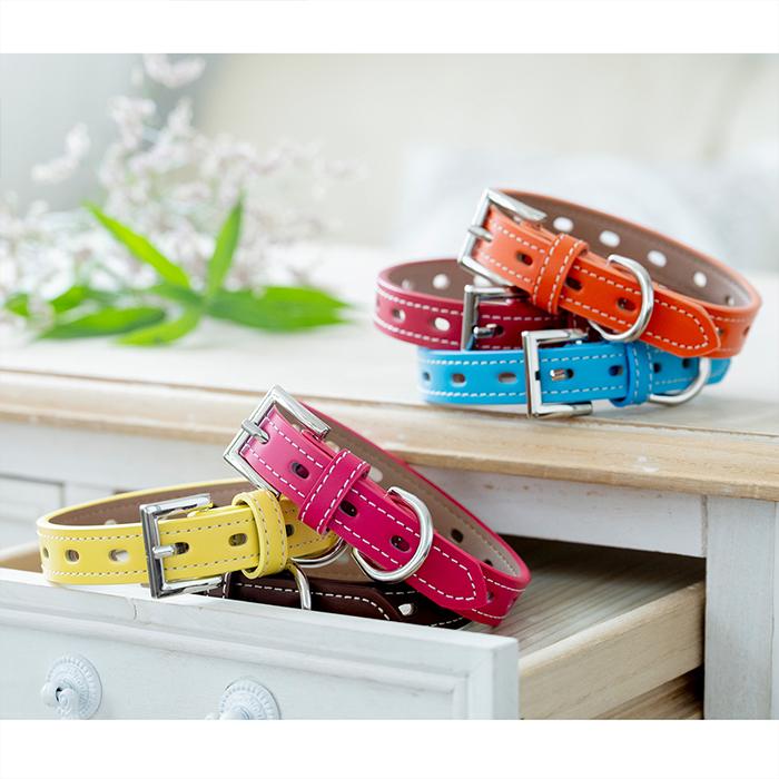 犬の首輪屋てるべる 犬 首輪 犬首輪 犬の首輪 おしゃれ かわいい